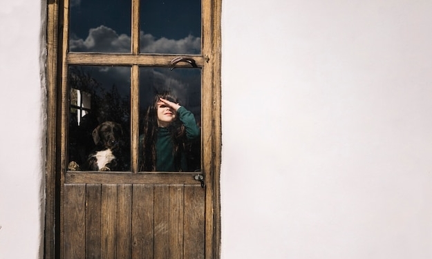 Какую выбрать дверь если темные окна