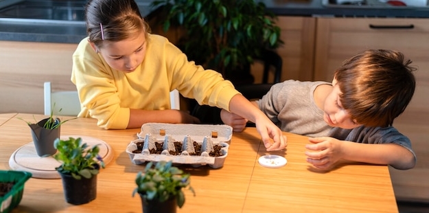 Как вывести лягушек из дома под полом